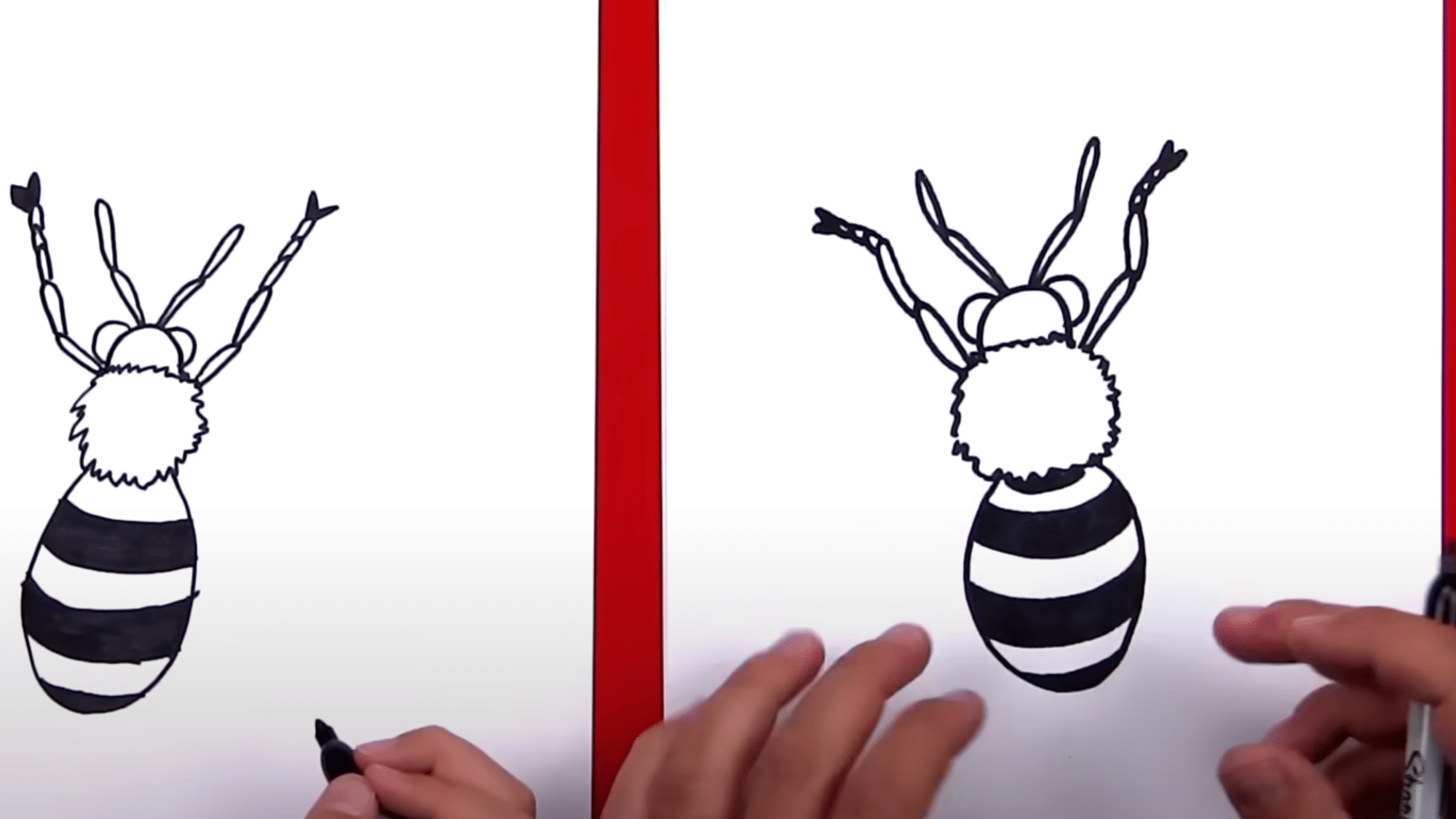 Add the Eyes and Antennas