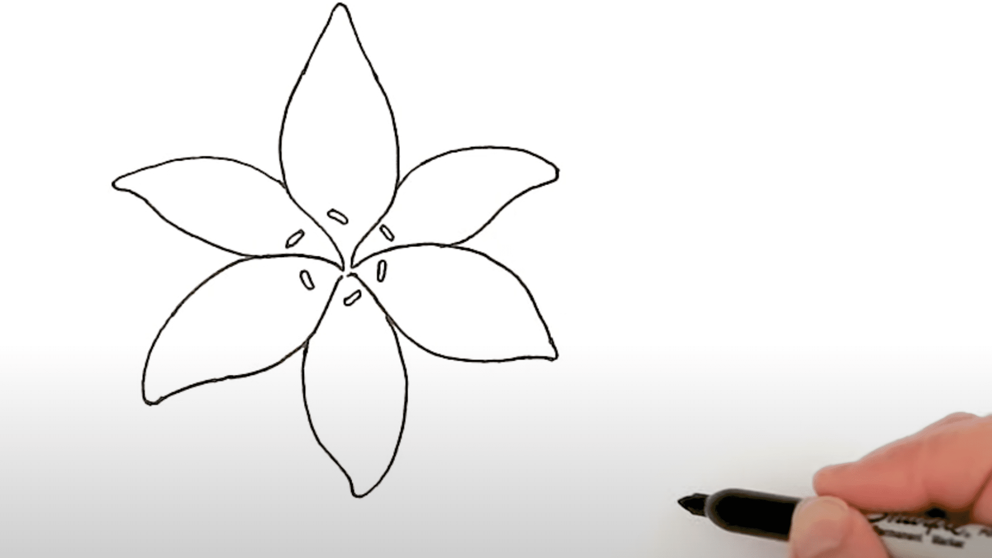 Create_Lilys_Center_Details