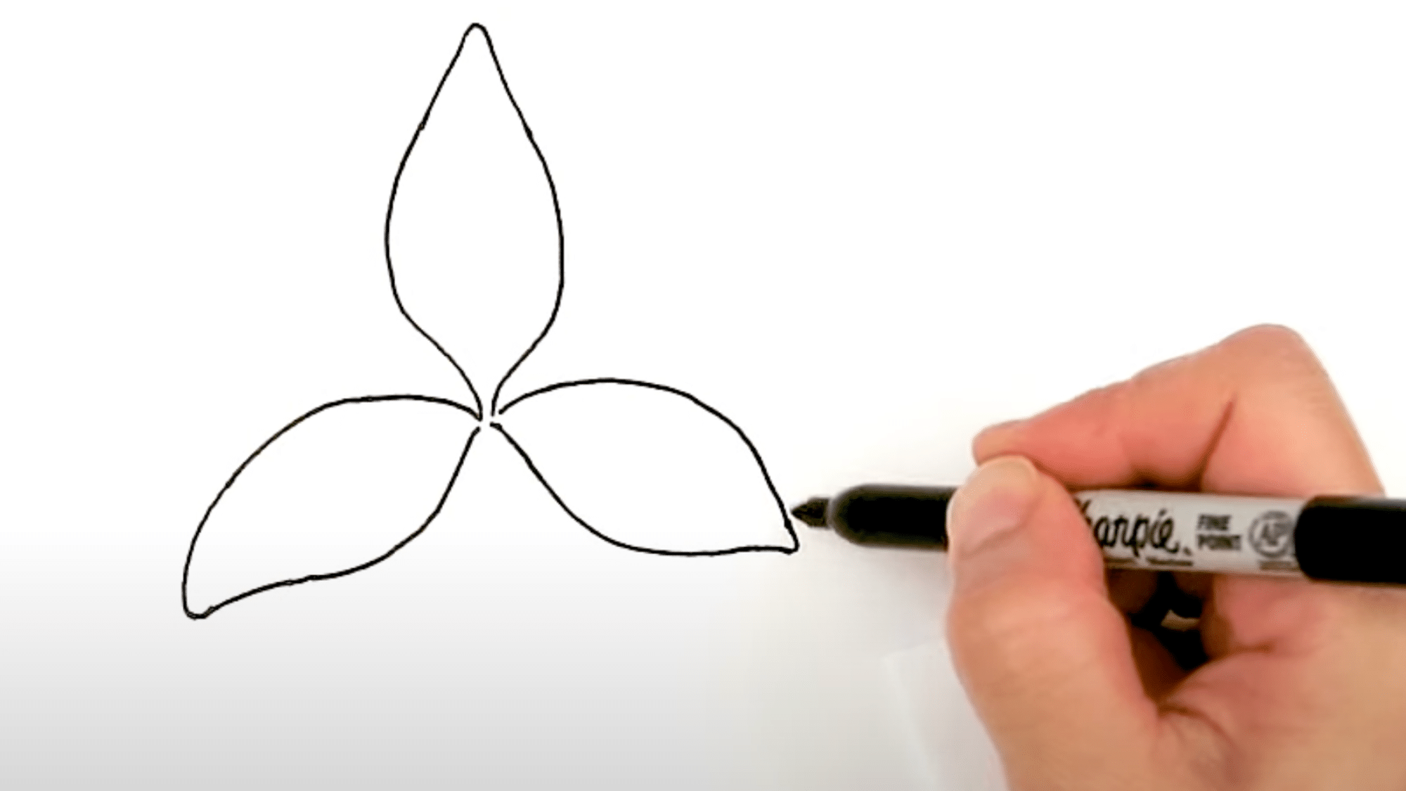 Sketch_the_Central_Petal