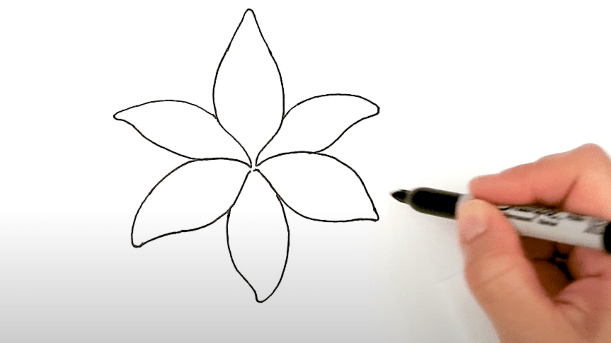 Tuck_in_the_Back_Petals